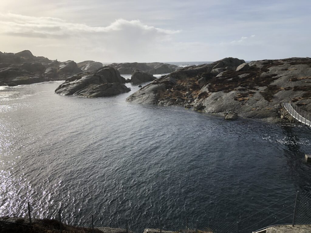 12.03.21 Høg vannstand på Holmane