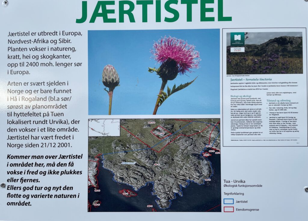 Infor om Jærtistelen